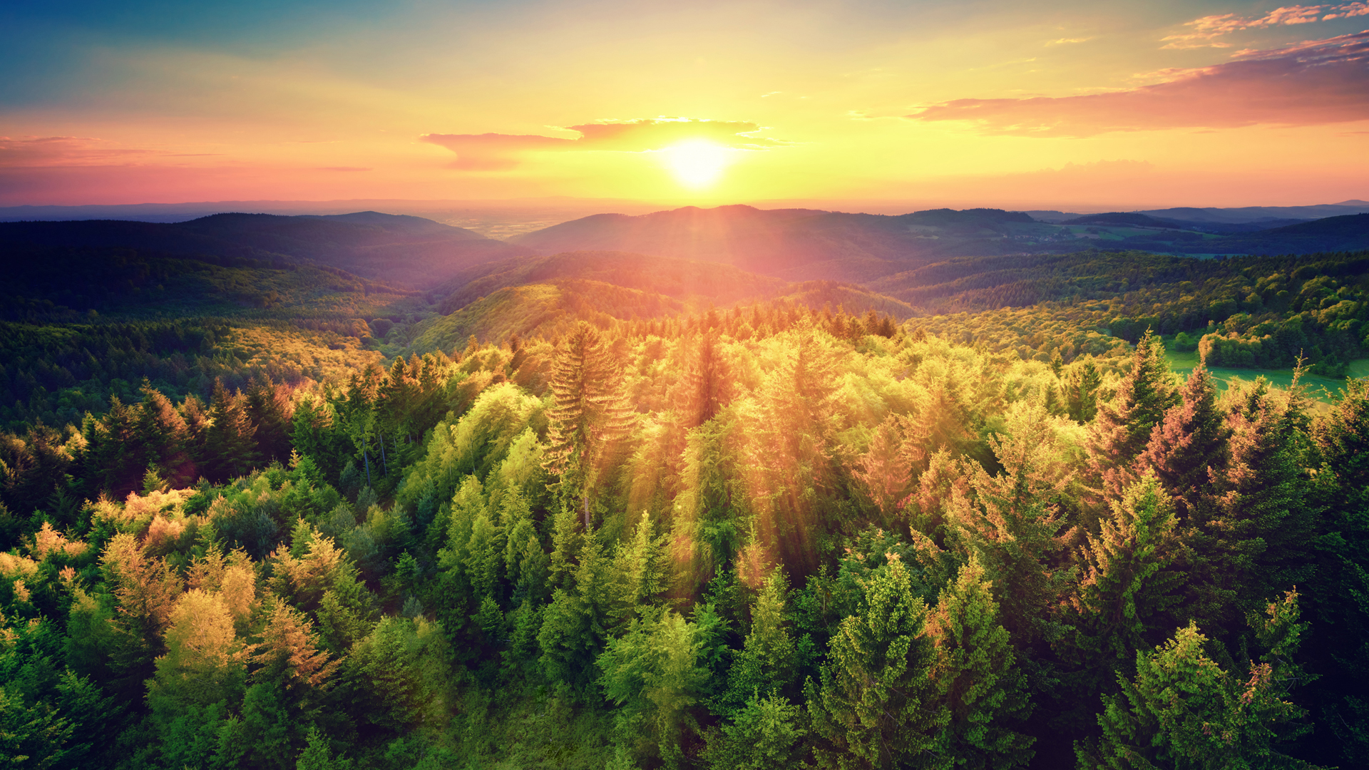 秋日森林日落绝美壁纸合集