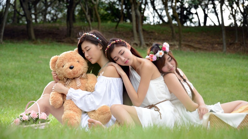 公园树林草地泰迪熊 三个漂亮女孩的电脑桌面壁纸来了