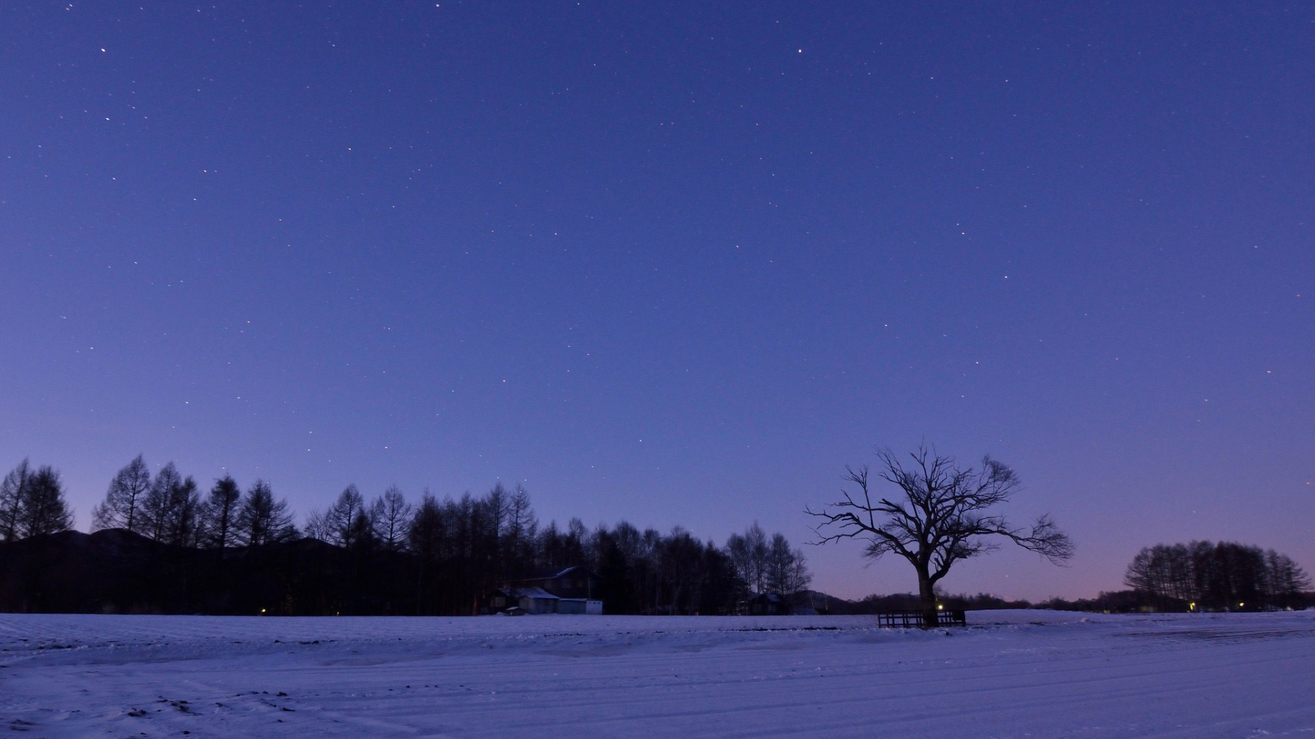 冬日夜晚田野雪树风景壁纸