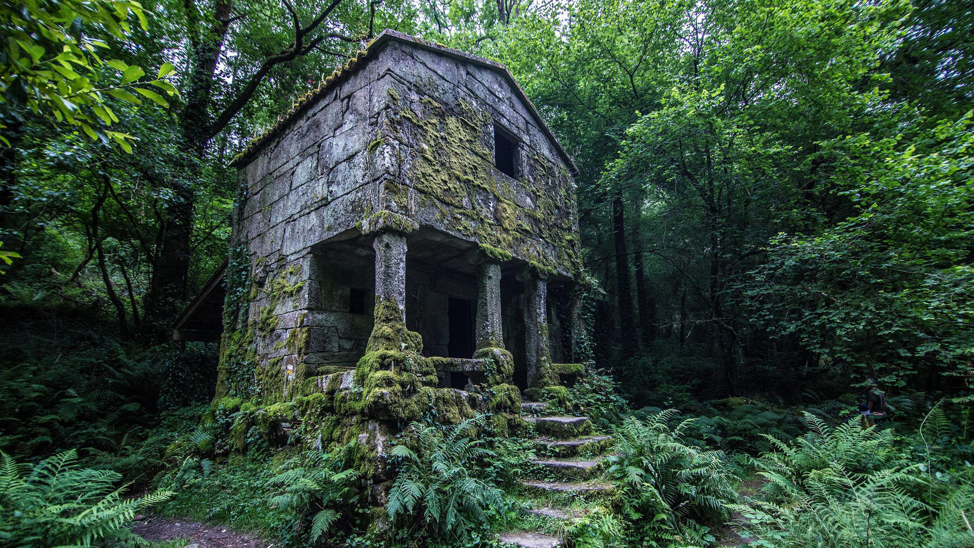 林间苔藓小屋 治愈系风景电脑壁纸