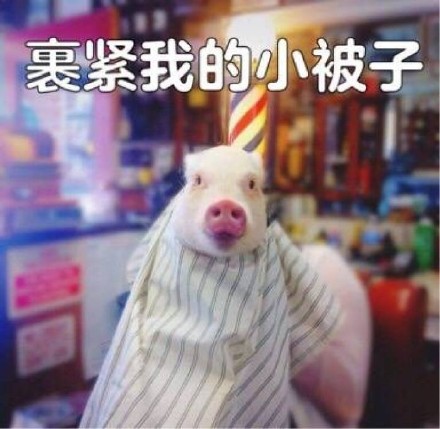 猪猪表情包合集来啦，快一起来吸猪！