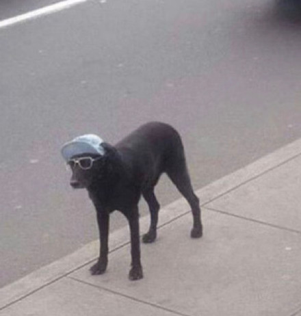 聊天斗图必备！无字表情包合集来啦