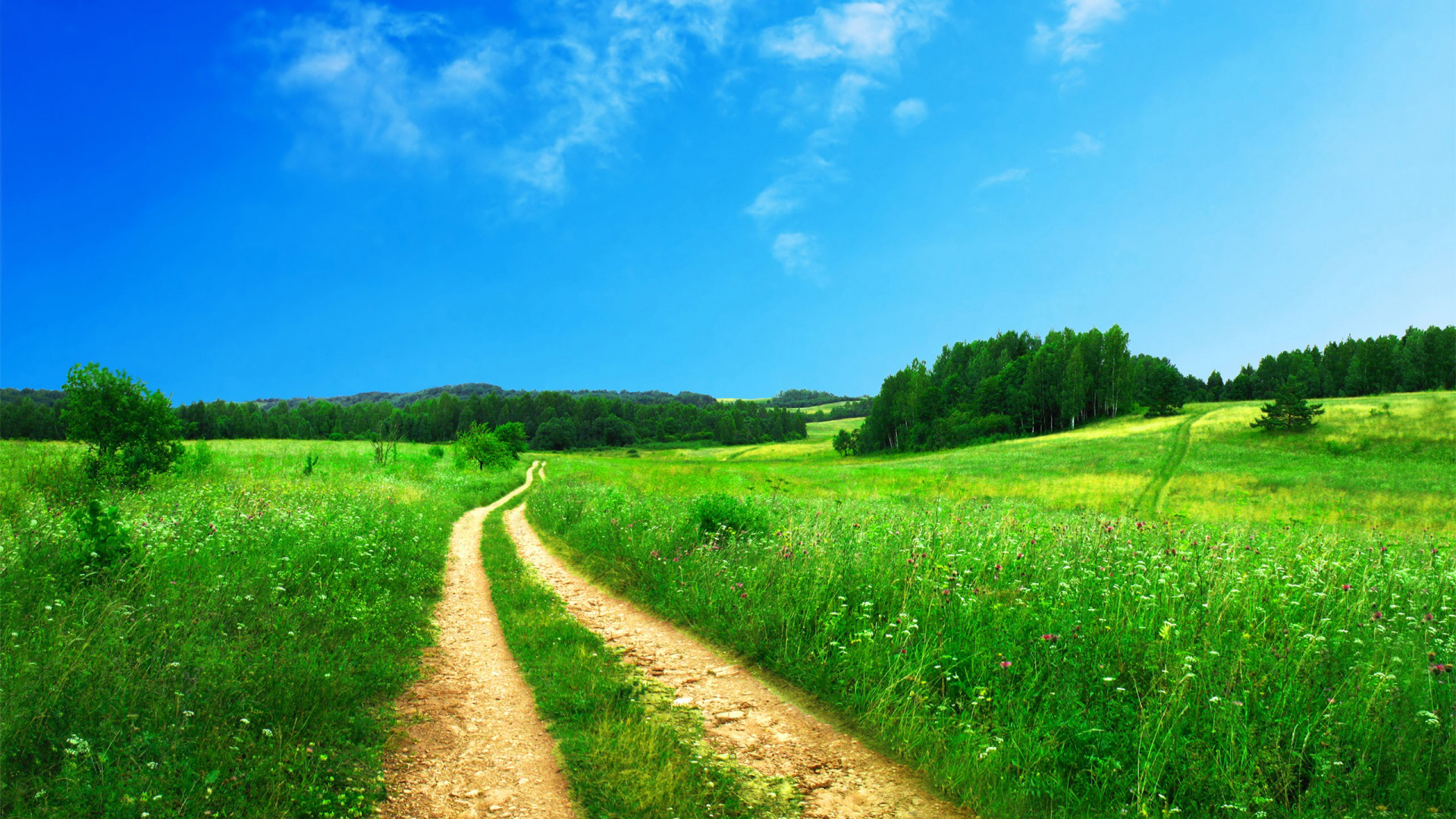 春日道路林间天空绝美风景高清电脑壁纸