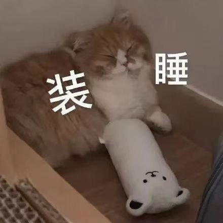 铲屎官斗图必备！这套猫猫狗狗表情包太好用了