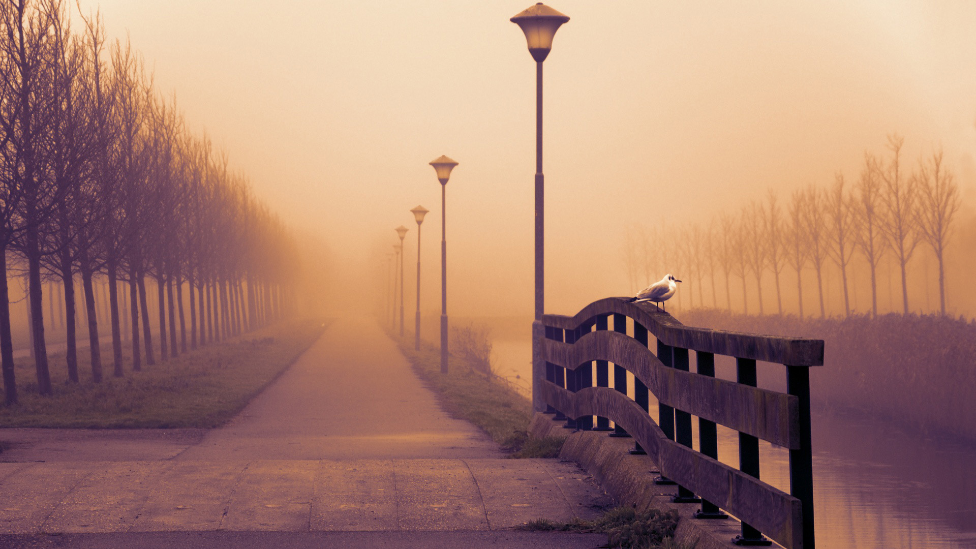 氛围感拉满！有雾秋日电脑动漫桌面壁纸推荐