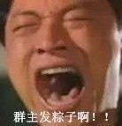 端午节没收到群主发的粽子？这套表情包拿去怼他