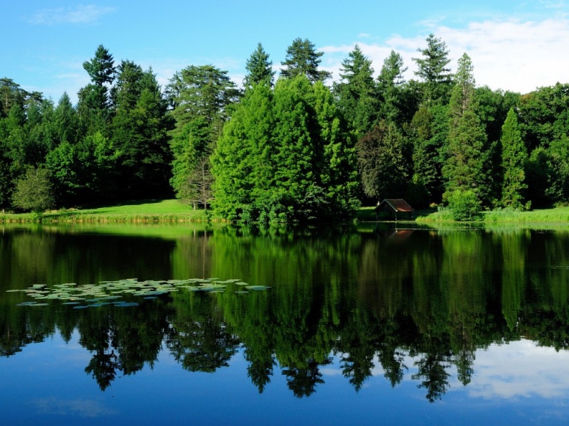 法国勃艮第自然风景电脑壁纸