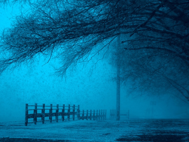 莫斯科清晨迷雾森林栅栏风景 电脑桌面壁纸来了