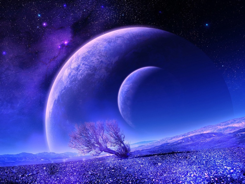 星球与树构筑的梦幻空间 这款电脑动漫壁纸太治愈了