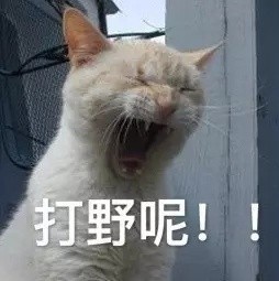 开语音打王者时，队友的这些喊话你肯定听过