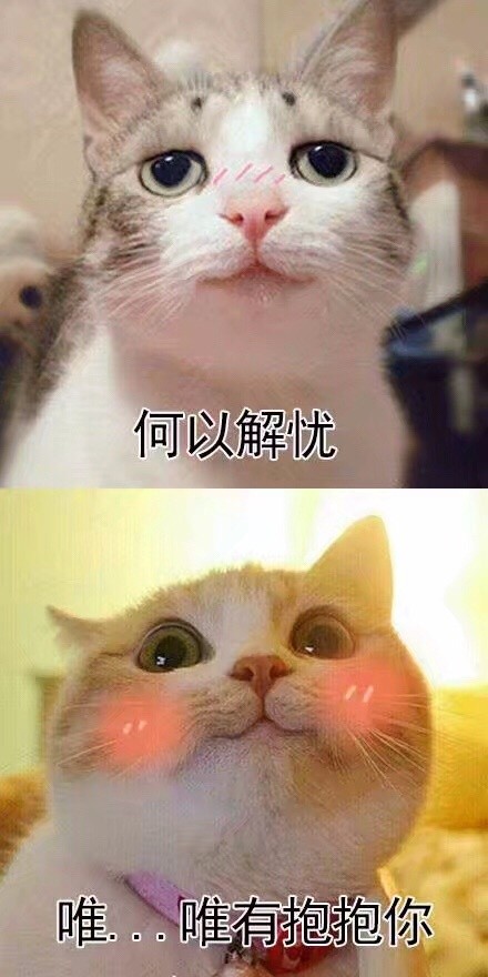 收藏这套撩人情话表情包，脱单只差这一步啦