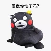 熊本熊撩人表情包合集来了