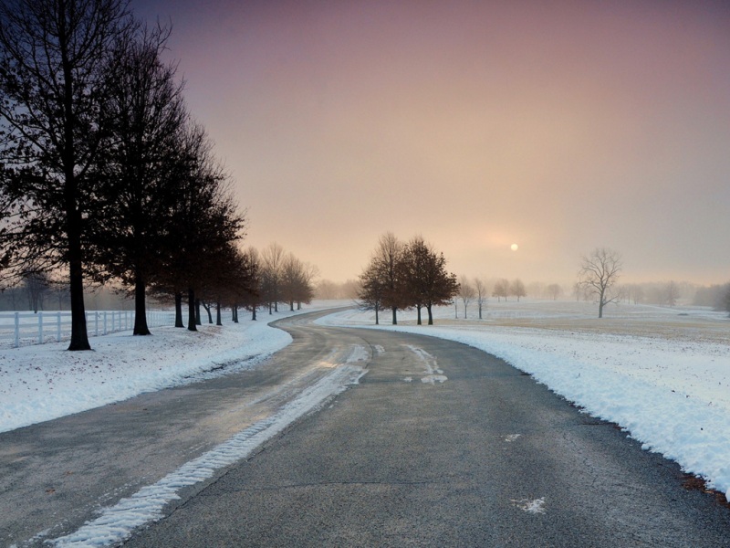 冬日林间雪路 氛围感拉满的电脑风景壁纸