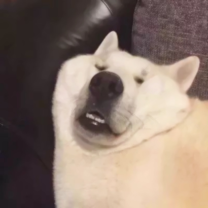 一对两张逗比搞笑情头 高清恶搞情侣头像合集26张