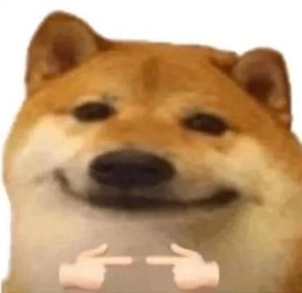 铲屎官集合！超萌猫猫狗狗揣手手表情包来啦