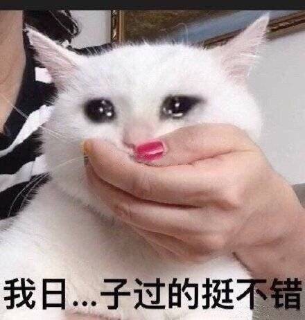 1月6日斗图表情包精选合集