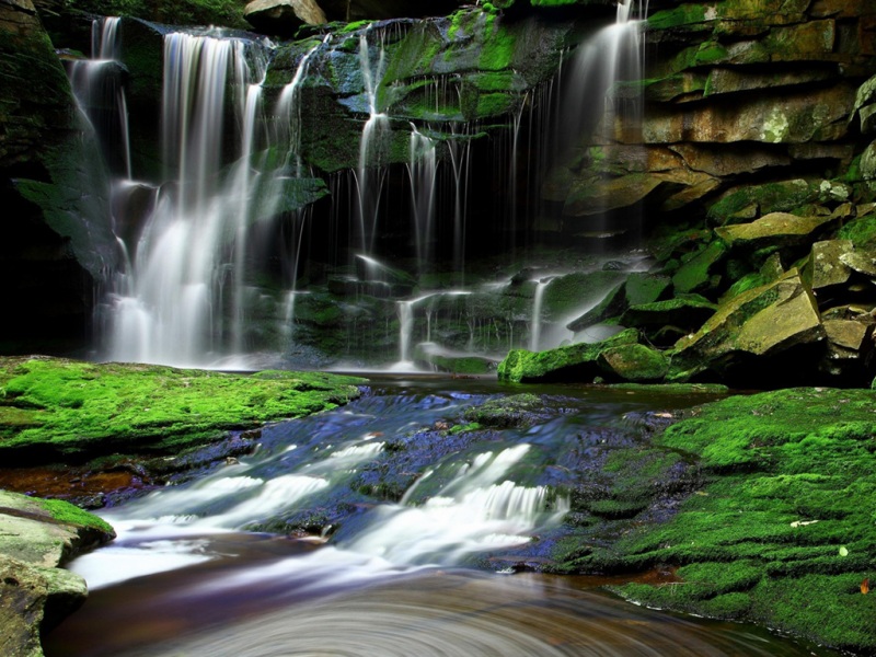 这套森林溪瀑壁纸把治愈感拉满，适配多种电脑屏幕尺寸