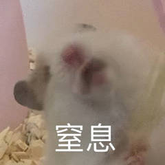 聊天斗图别愁！这套小仓鼠表情包直接封神