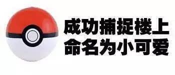 楼上学号？不，这套“成功捕捉楼上”表情包太会玩了