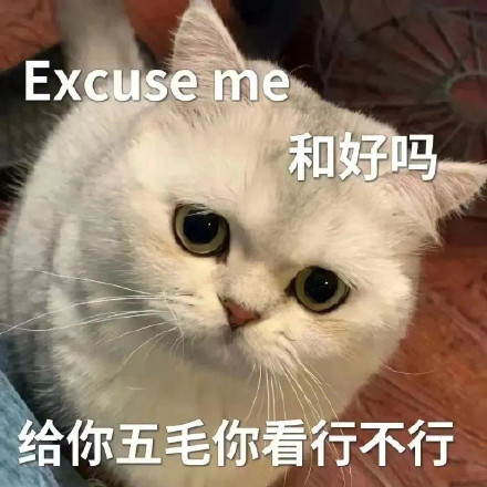 猫咪哭泣流泪猫猫头表情包合集来啦