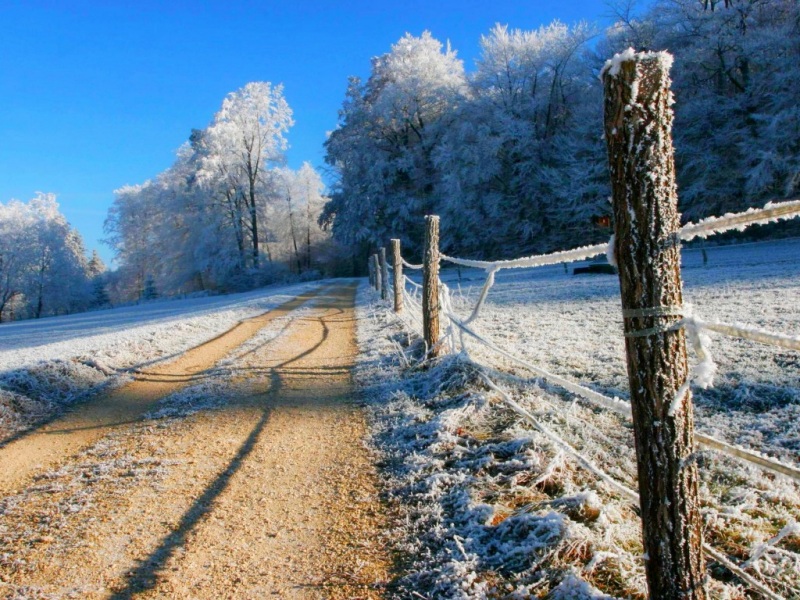 冬日雪景道路栅栏风景电脑动漫壁纸