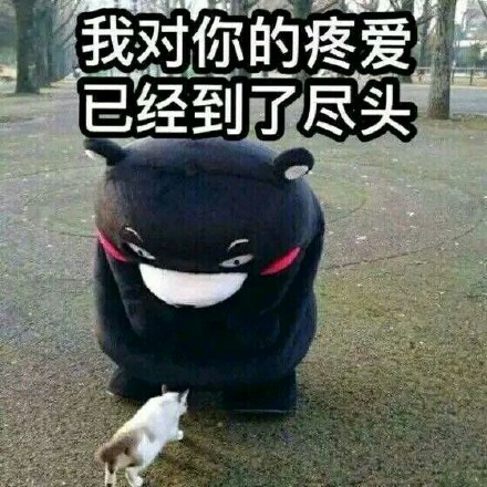 用熊本熊怼人表情包斗图？这套素材刚好适配