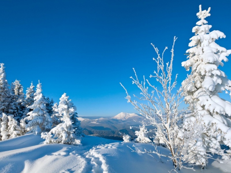 冬日大雪林木雪景 超美电脑动漫壁纸合集