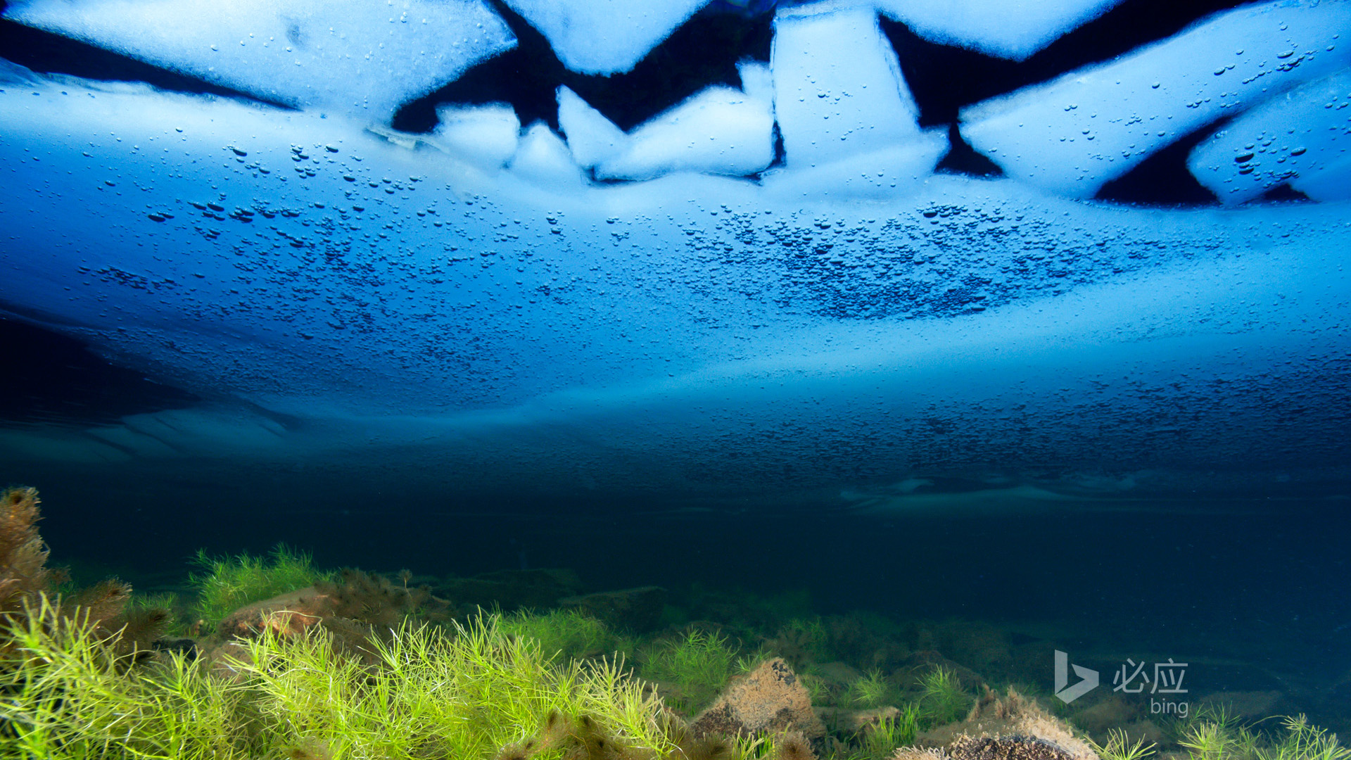威尔士雪墩山绝美风光！这款自然风景电脑壁纸太治愈了