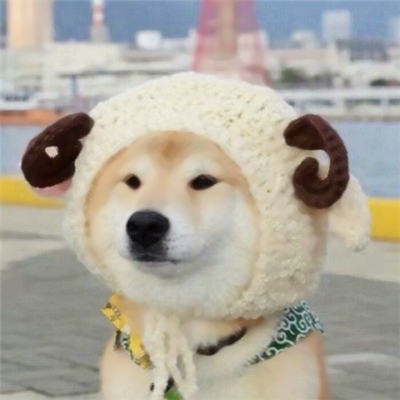 魔性又上头！10组搞怪情侣头像一对两张高清版