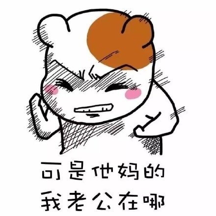 聊天斗图新素材：我老公好像丢了系列表情包