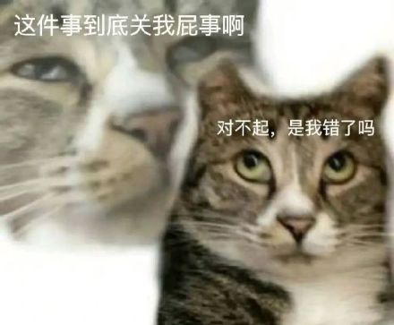 聊天时能打的表情包合集，斗图再也没输过