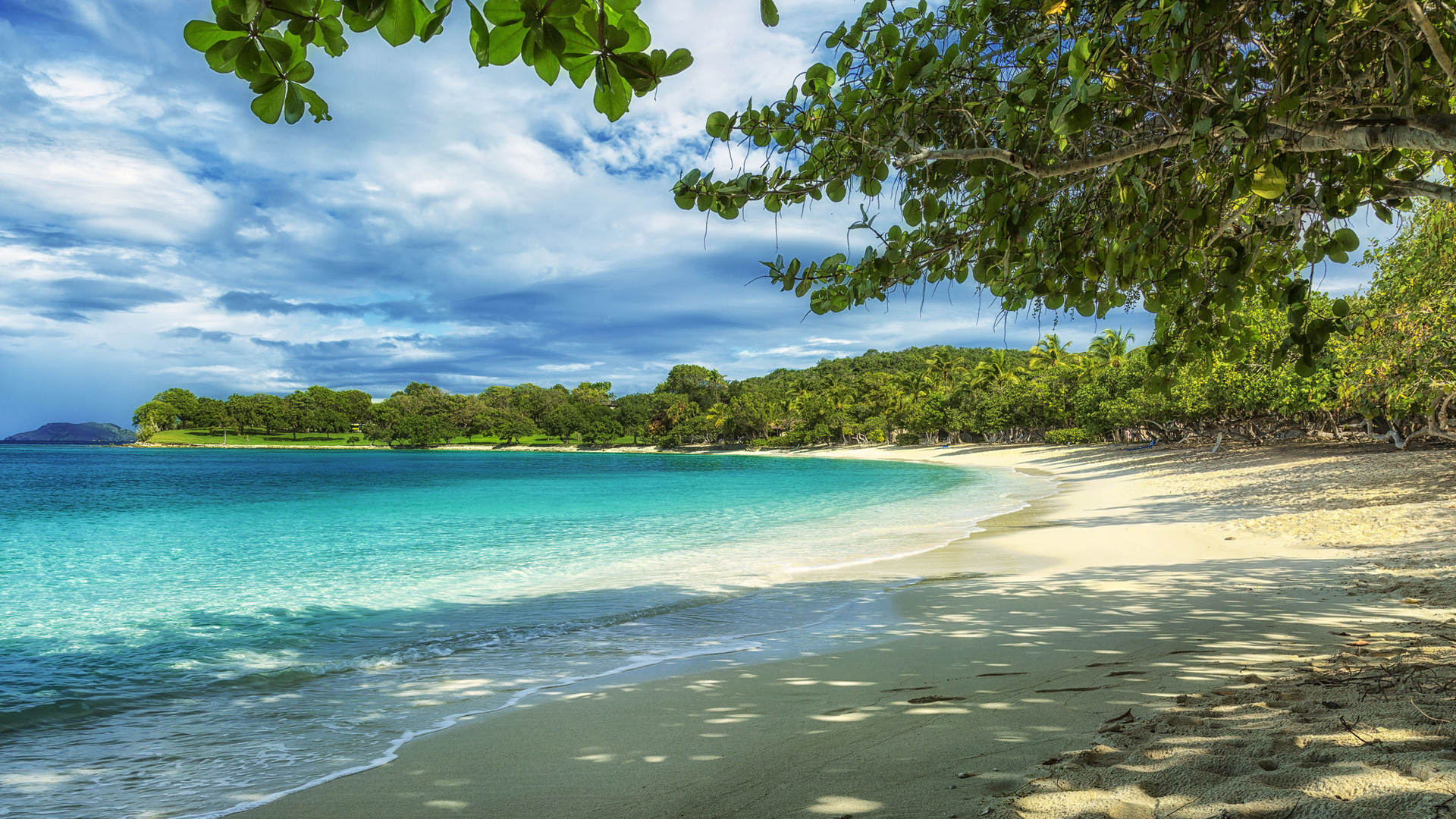 海边沙滩海湾林木风景高清电脑壁纸下载