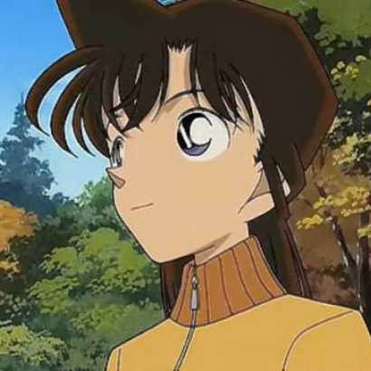 抖音超火！柯南毛利兰情侣头像 12张高清原图合集