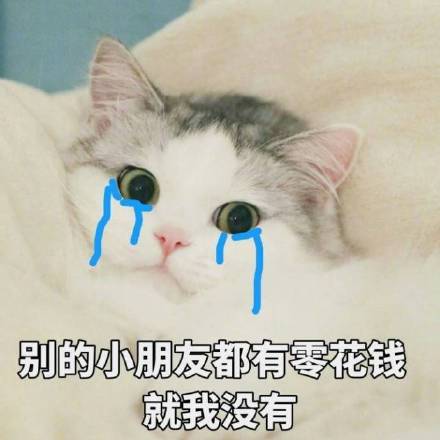 超萌智障感猫咪表情包合集