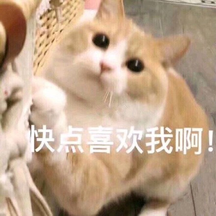 7月7日斗图表情包合集来啦