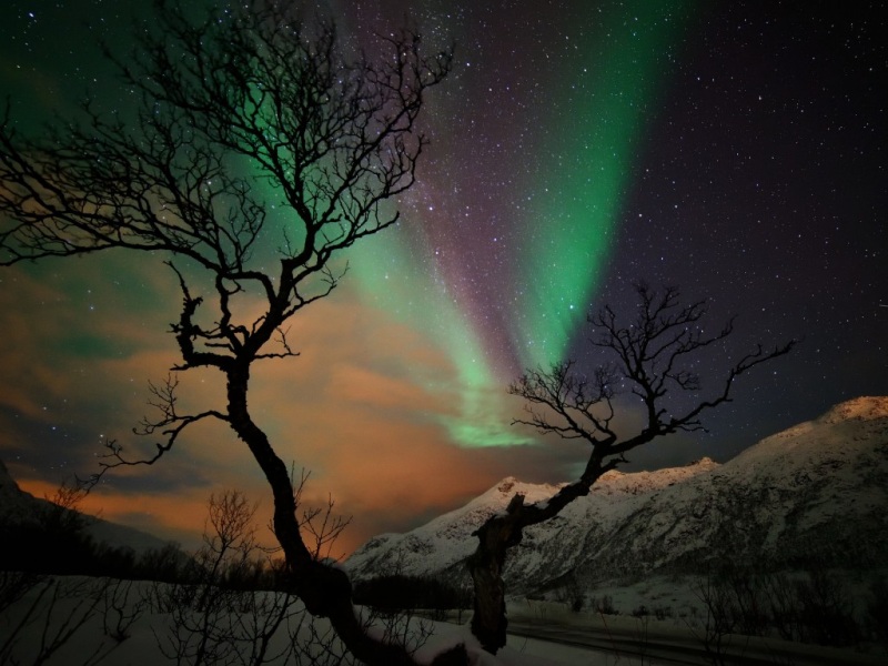 冬日夜晚雪山星野 这套电脑壁纸氛围感拉满