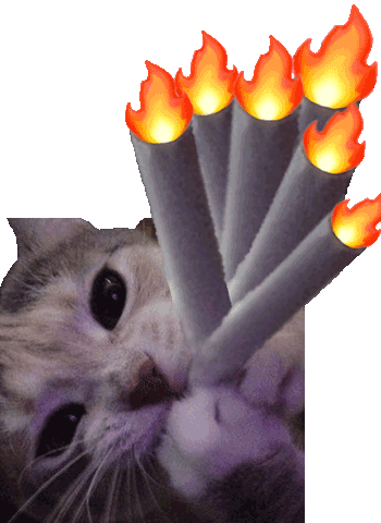 超好用的小动物透明底动图表情包合集