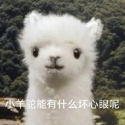 聊天斗图必备！小动物们能有什么坏心眼呢表情包合集