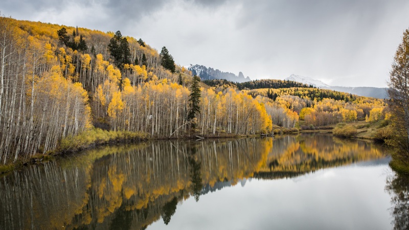 秋日森林河水倒影风景壁纸来了