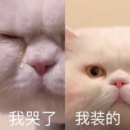 “我哭了我装的”表情包合集来了 斗图必备反向情绪表情
