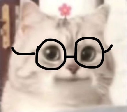 刷到就存！超治愈可爱微笑小猫斗图表情包合集