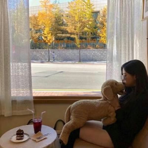 小清新款一男一女情侣头像合集，共22张可供挑选使用。