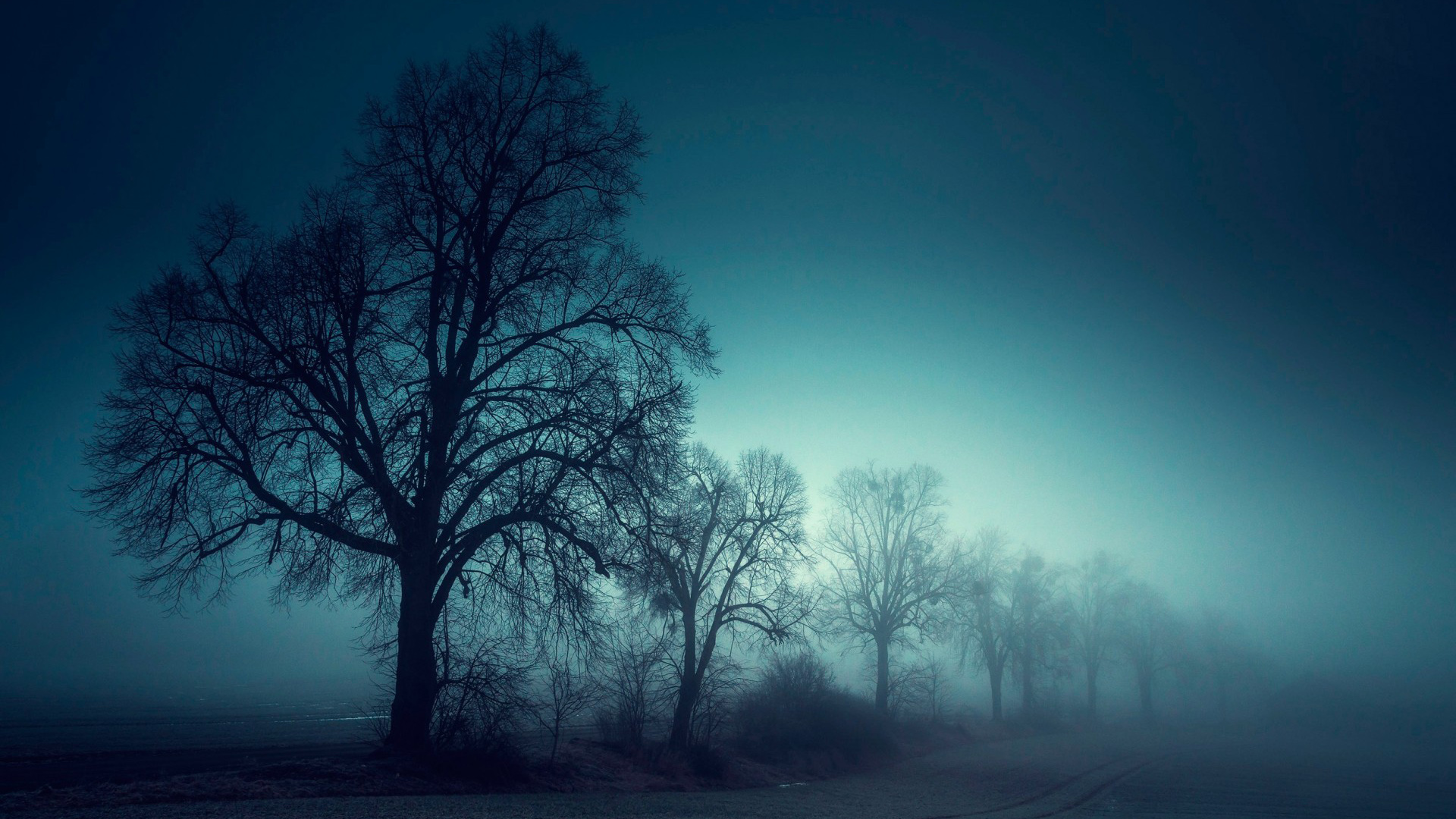 雾中林木自然风电脑桌面壁纸分享