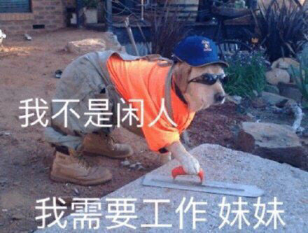 打工人专属表情包合集，斗图再也不用愁