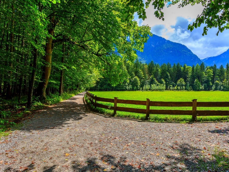 春日森林公园围栏边的天空云景壁纸