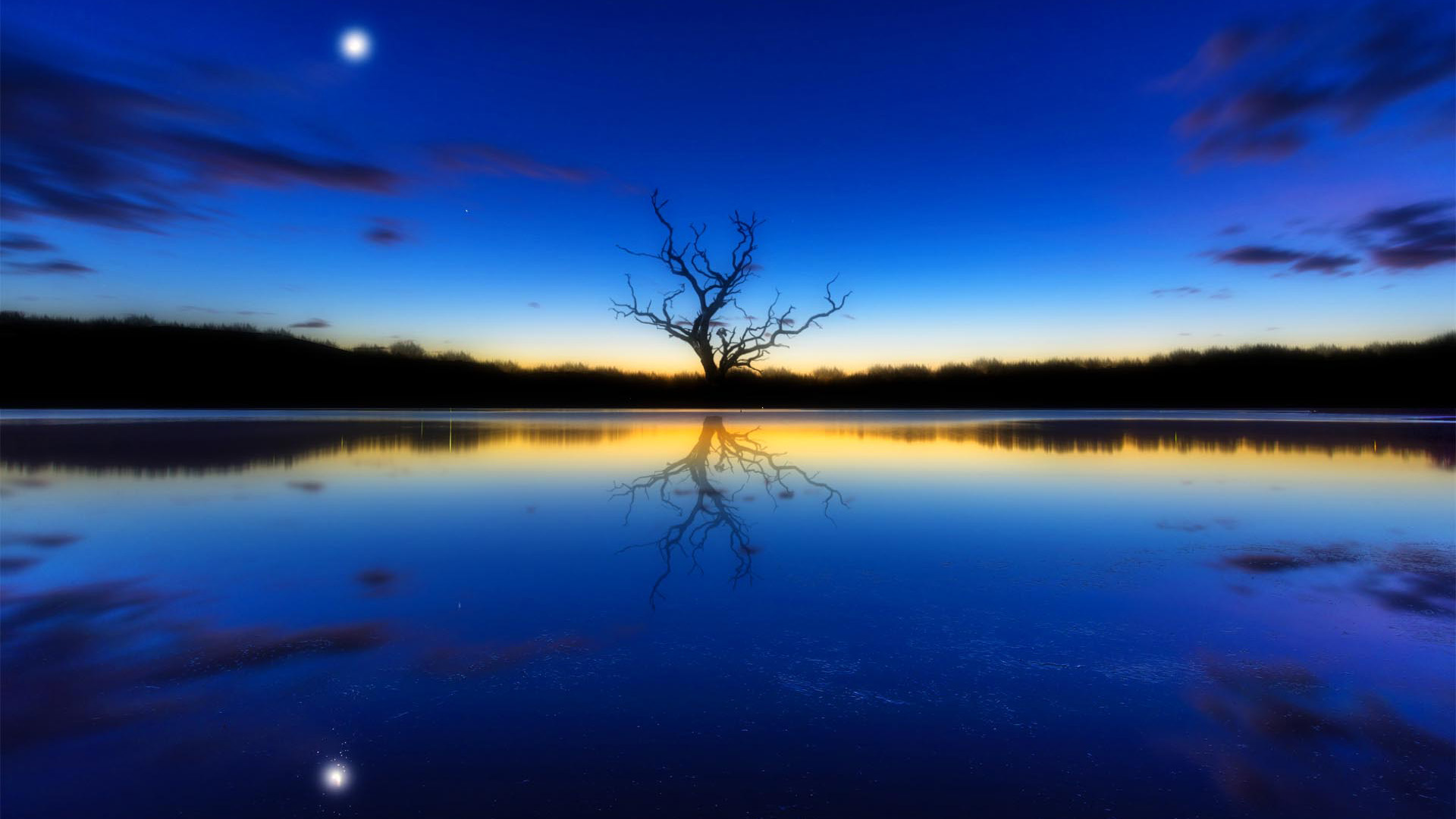 这套蓝调风景电脑壁纸，藏着夕阳月亮和独树映河的治愈感