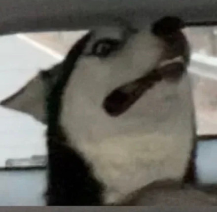 聊天斗图没文字？这款无字表情包合集超好用