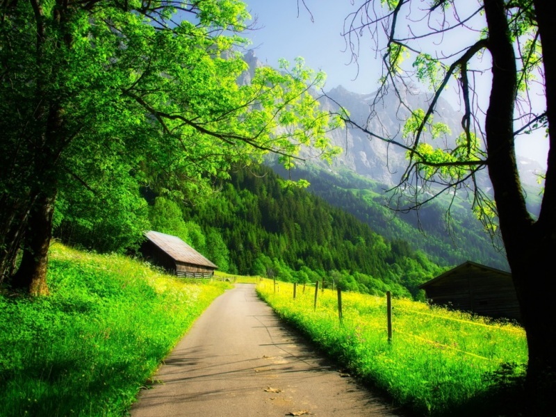 自然山景公路森林房景高清壁纸分享