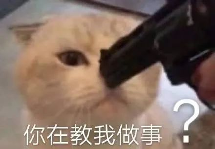 孙一宁和王思聪聊天表情包合集