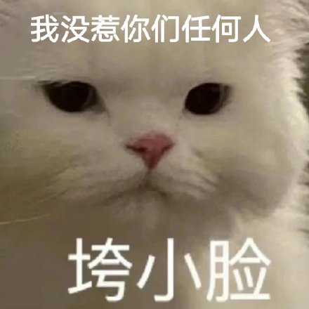 最近聊天总在用的斗图表情包合集